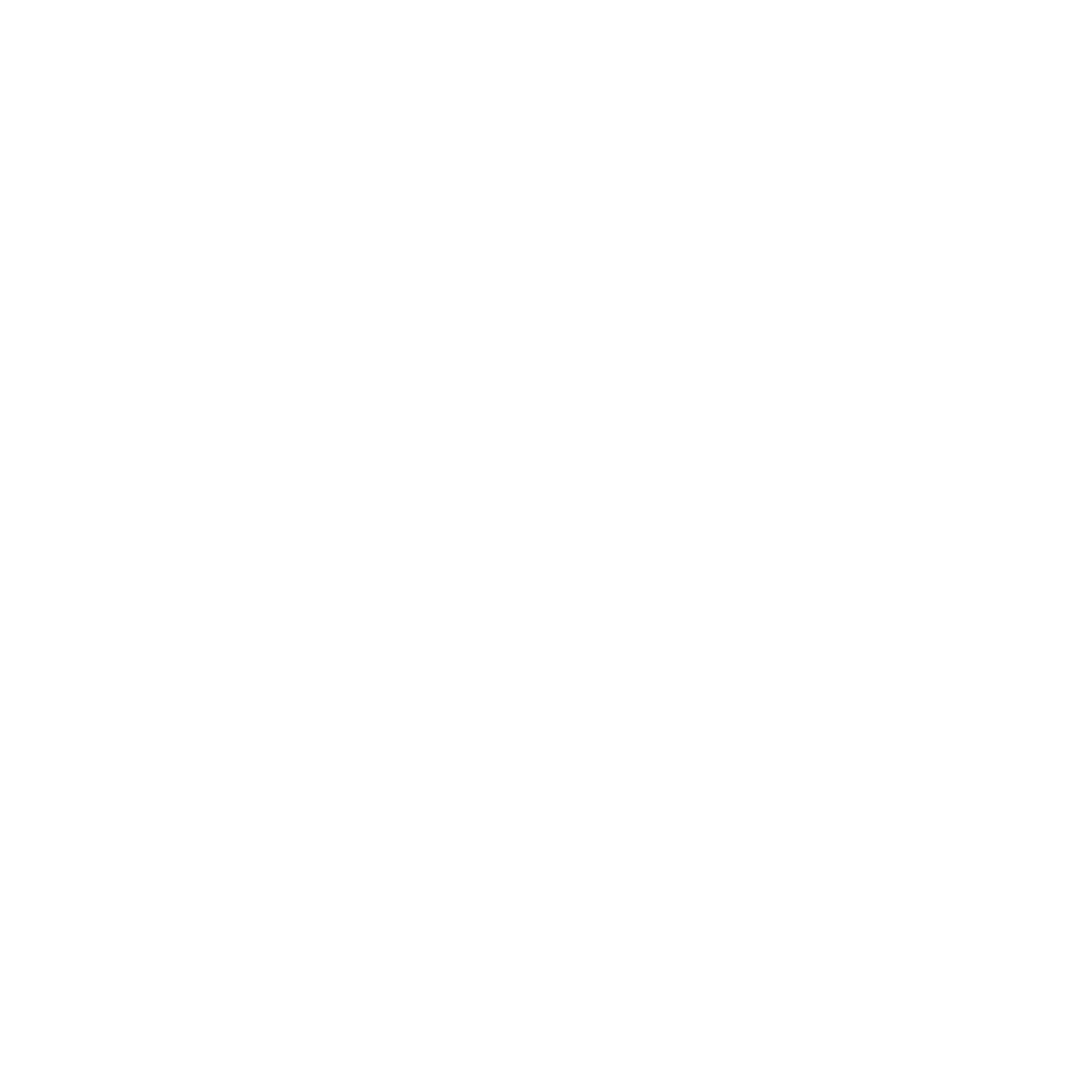 Bogis IT Solutions